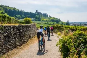 Verona, Valpolicella Self-Guided Wine Tour