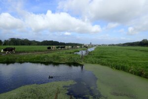 08-08 AmsBru P9111446