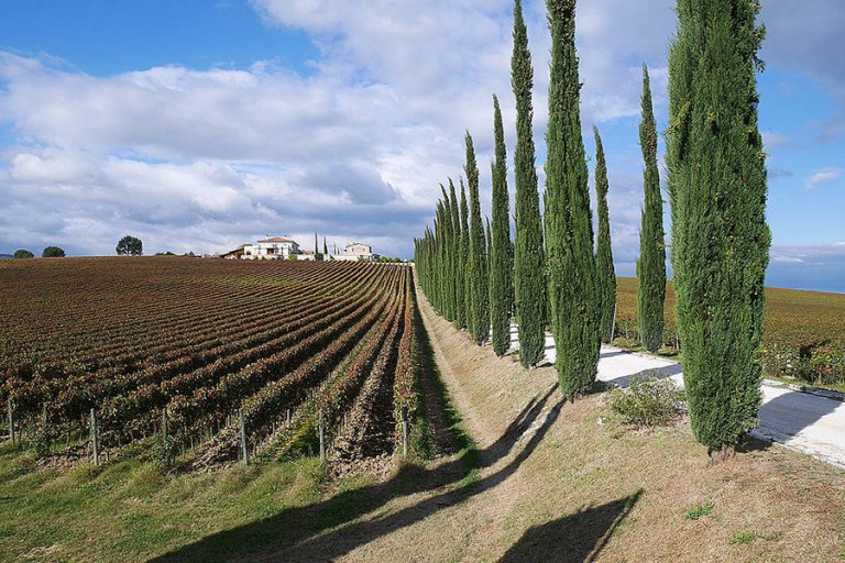 Fahrradverleih Val d' Orcia Rennrad mieten Toskana