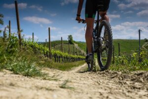 Cycling Tour Piemonte