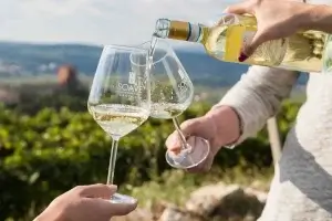 Verona, Valpolicella Self-Guided Wine Tour