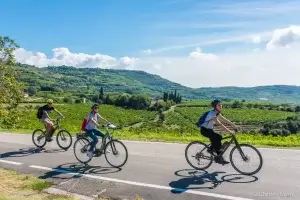 Verona, Valpolicella Self-Guided Wine Tour