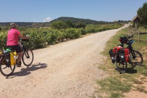 Camino de Santiago Tour