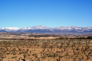 la-rioja-345139_1280