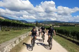 Verona, Valpolicella Self-Guided Wine Tour